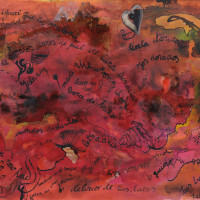 2010_176---sos-un-delirio-2010-tinta-s-papel-30x45cm